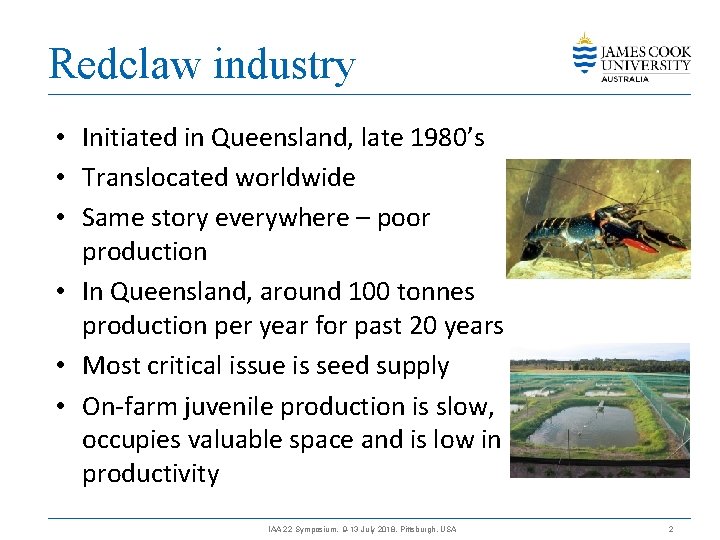 Redclaw industry • Initiated in Queensland, late 1980’s • Translocated worldwide • Same story