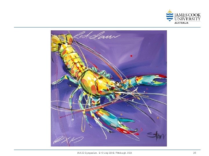 IAA 22 Symposium, 9 -13 July 2018, Pittsburgh, USA 25 