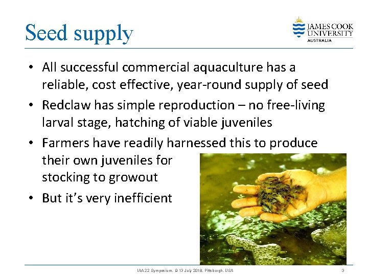 Seed supply • All successful commercial aquaculture has a reliable, cost effective, year-round supply