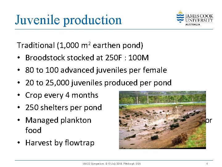 Juvenile production Traditional (1, 000 m 2 earthen pond) • Broodstocked at 250 F