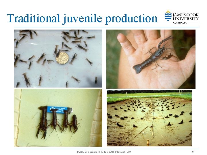 Traditional juvenile production IAA 22 Symposium, 9 -13 July 2018, Pittsburgh, USA 6 