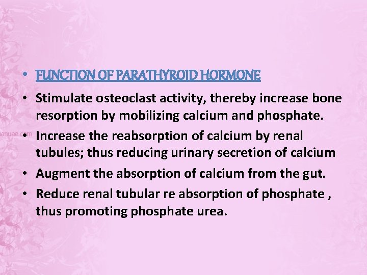  • FUNCTION OF PARATHYROID HORMONE • Stimulate osteoclast activity, thereby increase bone resorption