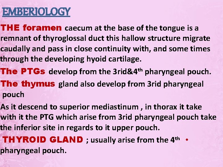 EMBERIOLOGY THE foramen caecum at the base of the tongue is a remnant of