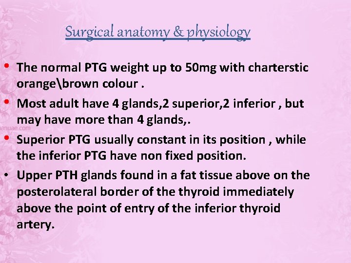 Surgical anatomy & physiology • The normal PTG weight up to 50 mg with