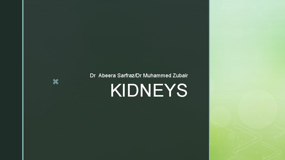 z Dr Abeera Sarfraz/Dr Muhammed Zubair KIDNEYS 