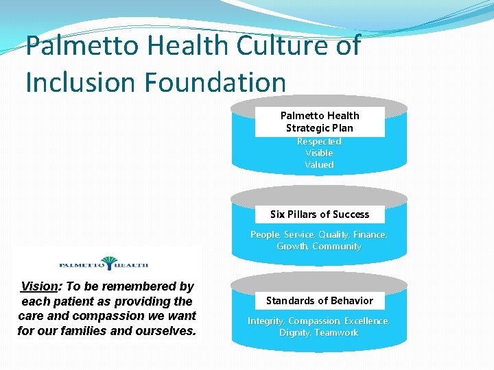 Palmetto Health Culture of Inclusion Foundation Palmetto Health Strategic Plan Respected Visible Valued Six