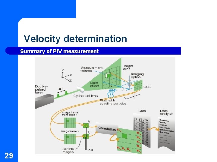 Velocity determination Summary of PIV measurement 29 Velocity determination Summary of PIV measurement 29