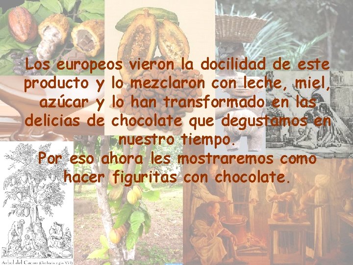 Los europeos vieron la docilidad de este producto y lo mezclaron con leche, miel, Los europeos vieron la docilidad de este producto y lo mezclaron con leche, miel,