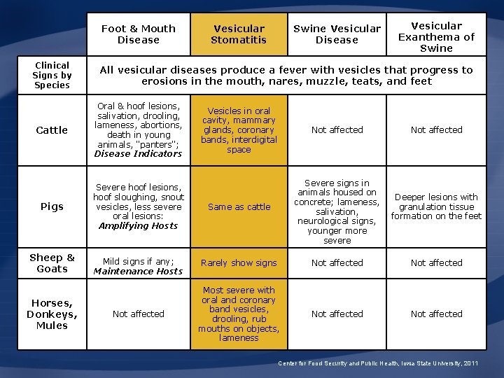 Foot & Mouth Disease Clinical Signs by Species Cattle Vesicular Stomatitis Swine Vesicular Disease