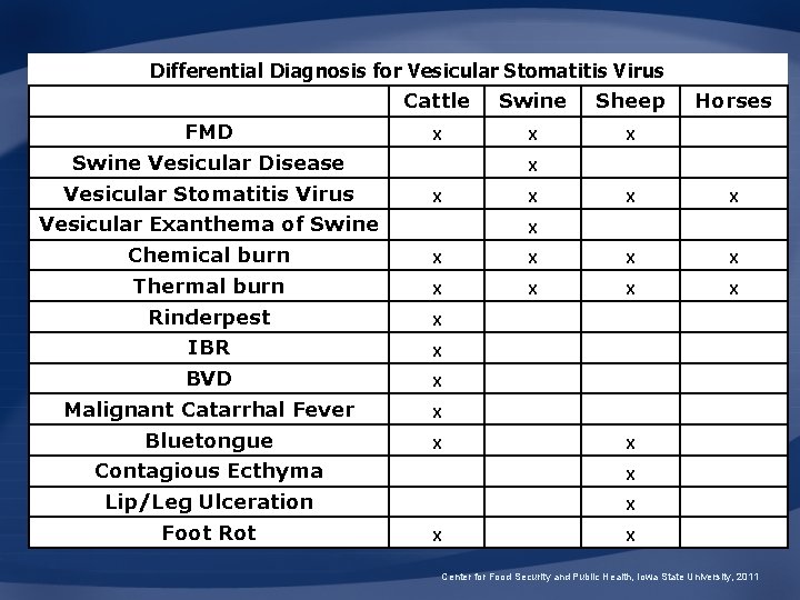 Differential Diagnosis for Vesicular Stomatitis Virus Cattle Swine Sheep Horses FMD X X X