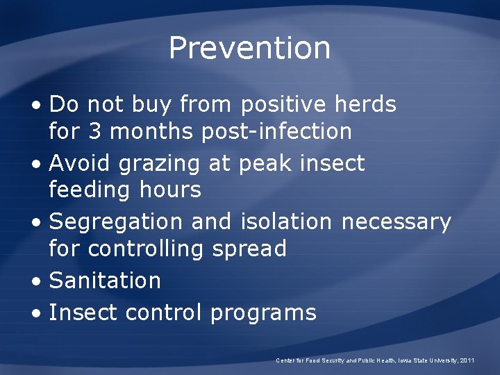 Prevention • Do not buy from positive herds for 3 months post-infection • Avoid