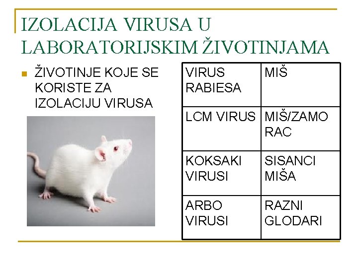 IZOLACIJA VIRUSA U LABORATORIJSKIM ŽIVOTINJAMA n ŽIVOTINJE KOJE SE KORISTE ZA IZOLACIJU VIRUSA VIRUS