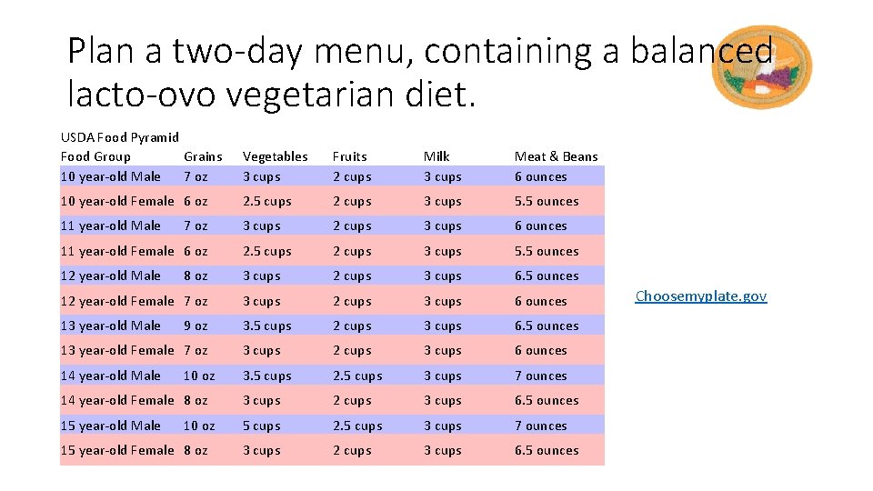 Plan a two-day menu, containing a balanced lacto-ovo vegetarian diet. USDA Food Pyramid Food