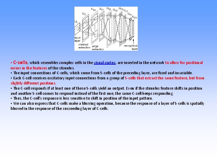  • C-cells, which resembles complex cells in the visual cortex, are inserted in