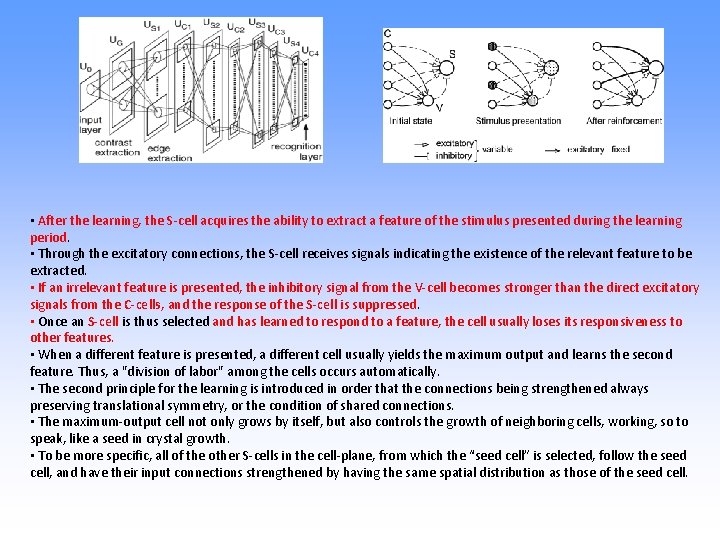  • After the learning, the S-cell acquires the ability to extract a feature