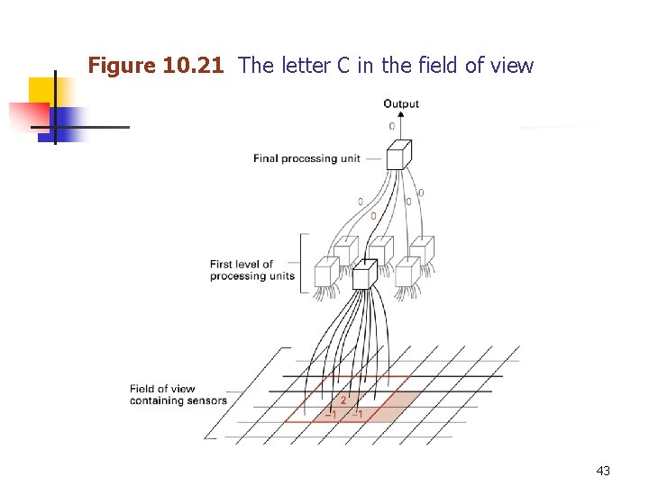 Figure 10. 21 The letter C in the field of view 43 