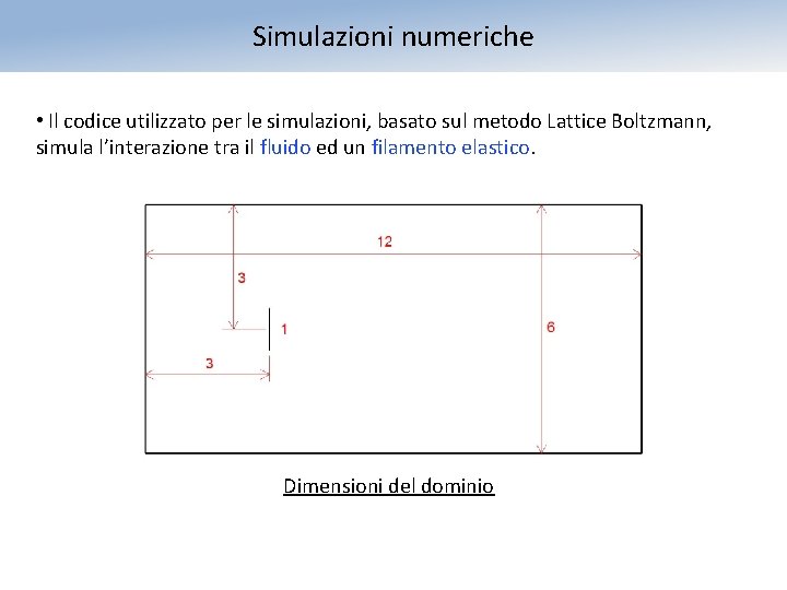 Simulazioni numeriche • Il codice utilizzato per le simulazioni, basato sul metodo Lattice Boltzmann,