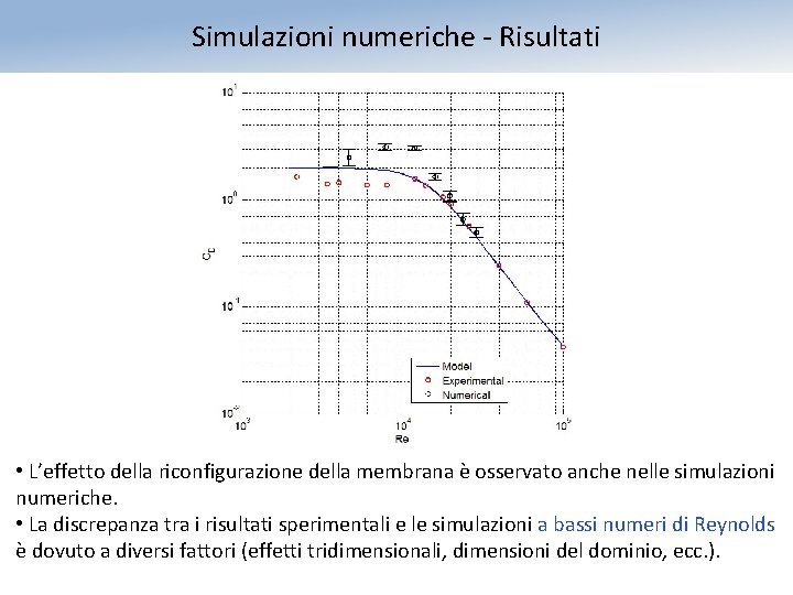 Simulazioni numeriche - Risultati • L’effetto della riconfigurazione della membrana è osservato anche nelle