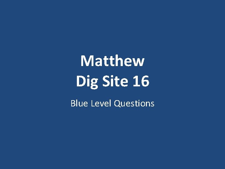 Matthew Dig Site 16 Blue Level Questions 