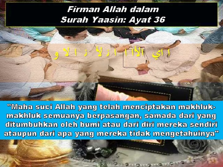 Firman Allah dalam Surah Yaasin: Ayat 36 ﻭ ﻻ ﺍ ﻧ ﻷ ﻧ ﺍ