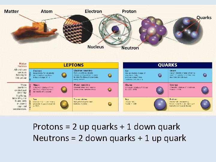 Protons = 2 up quarks + 1 down quark Neutrons = 2 down quarks