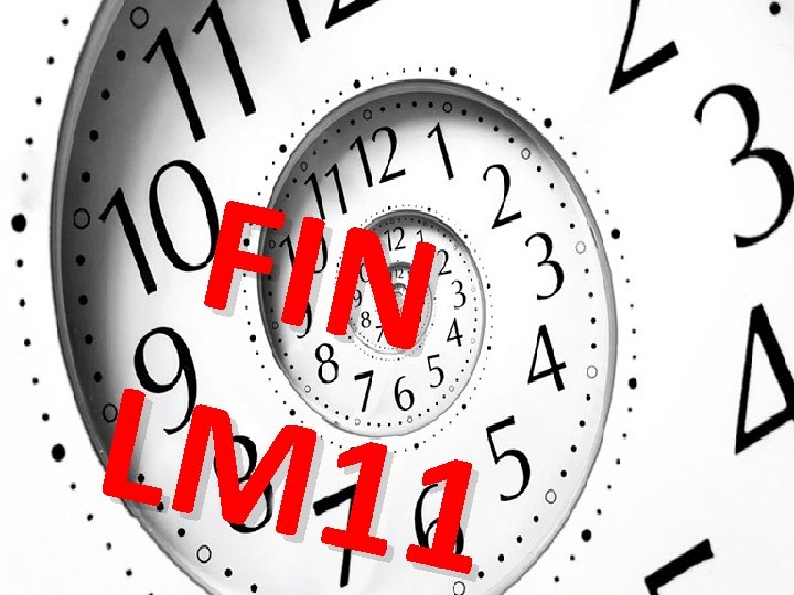 FIN LM 11 FIN LM 11