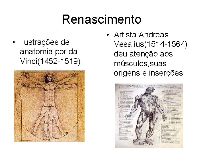Renascimento • Ilustrações de anatomia por da Vinci(1452 -1519) • Artista Andreas Vesalius(1514 -1564)