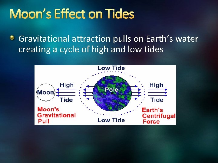 Moon’s Effect on Tides Gravitational attraction pulls on Earth’s water creating a cycle of