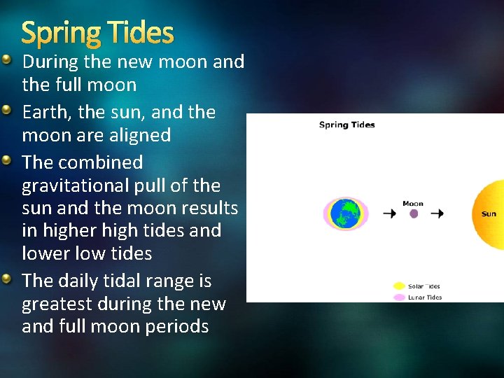 Spring Tides During the new moon and the full moon Earth, the sun, and