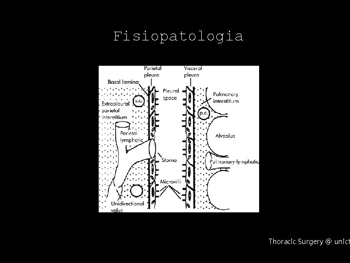 Fisiopatologia Thoracic Surgery @ unict 