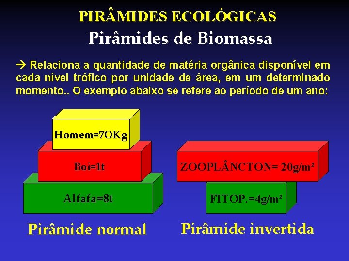 PIR MIDES ECOLÓGICAS Pirâmides de Biomassa Relaciona a quantidade de matéria orgânica disponível em PIR MIDES ECOLÓGICAS Pirâmides de Biomassa Relaciona a quantidade de matéria orgânica disponível em