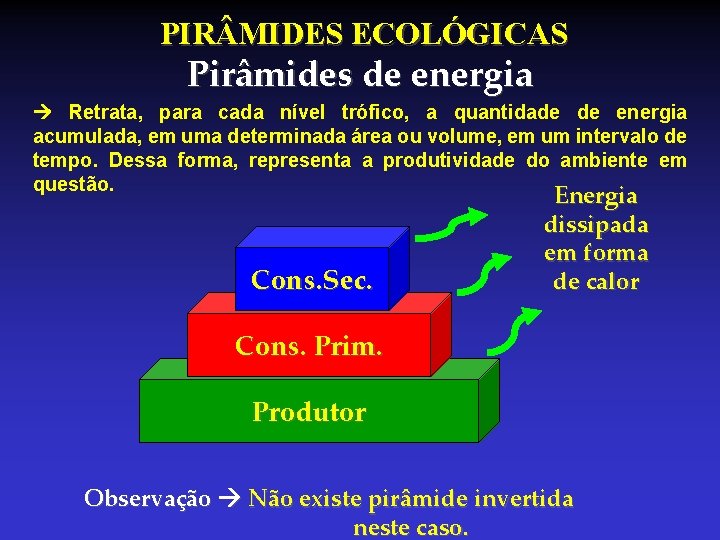 PIR MIDES ECOLÓGICAS Pirâmides de energia Retrata, para cada nível trófico, a quantidade de PIR MIDES ECOLÓGICAS Pirâmides de energia Retrata, para cada nível trófico, a quantidade de