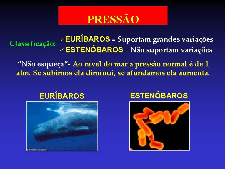 PRESSÃO Classificação: ü EURÍBAROS = Suportam grandes variações ü ESTENÓBAROS = Não suportam variações PRESSÃO Classificação: ü EURÍBAROS = Suportam grandes variações ü ESTENÓBAROS = Não suportam variações