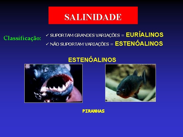 SALINIDADE Classificação: ü SUPORTAM GRANDES VARIAÇÕES = EURÍALINOS ü NÃO SUPORTAM VARIAÇÕES = ESTENÓALINOS SALINIDADE Classificação: ü SUPORTAM GRANDES VARIAÇÕES = EURÍALINOS ü NÃO SUPORTAM VARIAÇÕES = ESTENÓALINOS