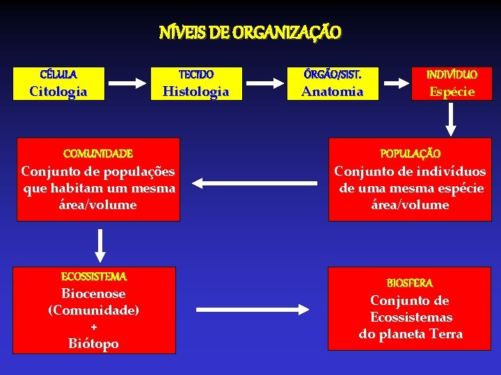 NÍVEIS DE ORGANIZAÇÃO CÉLULA Citologia Histologia COMUNIDADE Conjunto de populações que habitam um mesma NÍVEIS DE ORGANIZAÇÃO CÉLULA Citologia Histologia COMUNIDADE Conjunto de populações que habitam um mesma