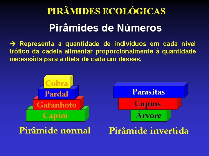 PIR MIDES ECOLÓGICAS Pirâmides de Números Representa a quantidade de indivíduos em cada nível PIR MIDES ECOLÓGICAS Pirâmides de Números Representa a quantidade de indivíduos em cada nível