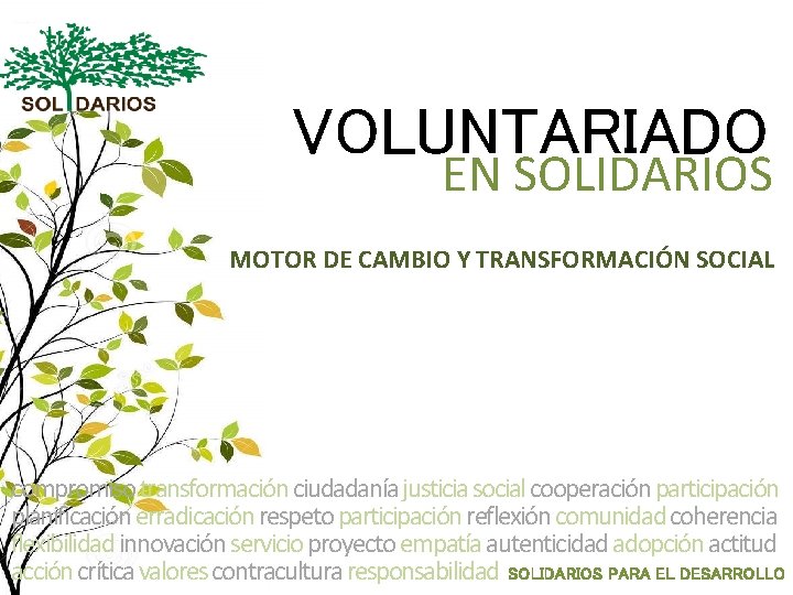 VOLUNTARIADO EN SOLIDARIOS MOTOR DE CAMBIO Y TRANSFORMACIÓN SOCIAL compromiso transformación ciudadanía justicia social