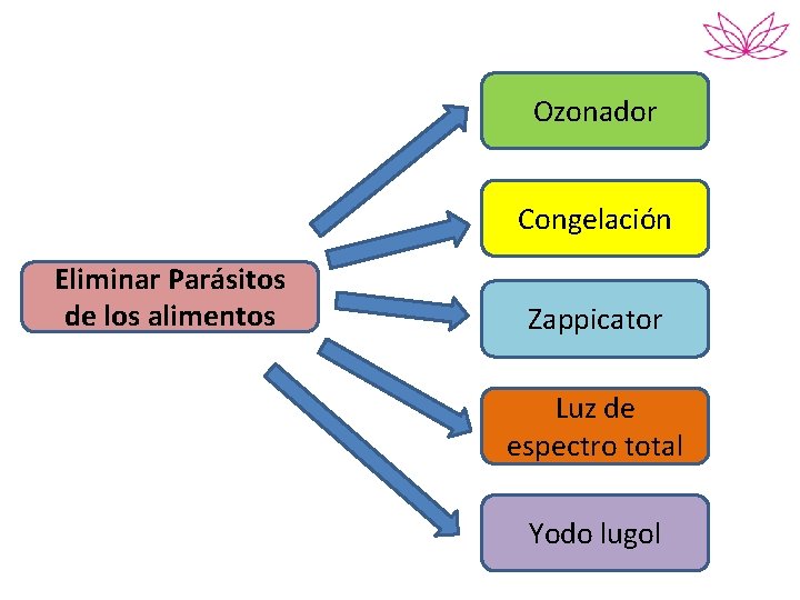 Ozonador Congelación Eliminar Parásitos de los alimentos Zappicator Luz de espectro total Yodo lugol