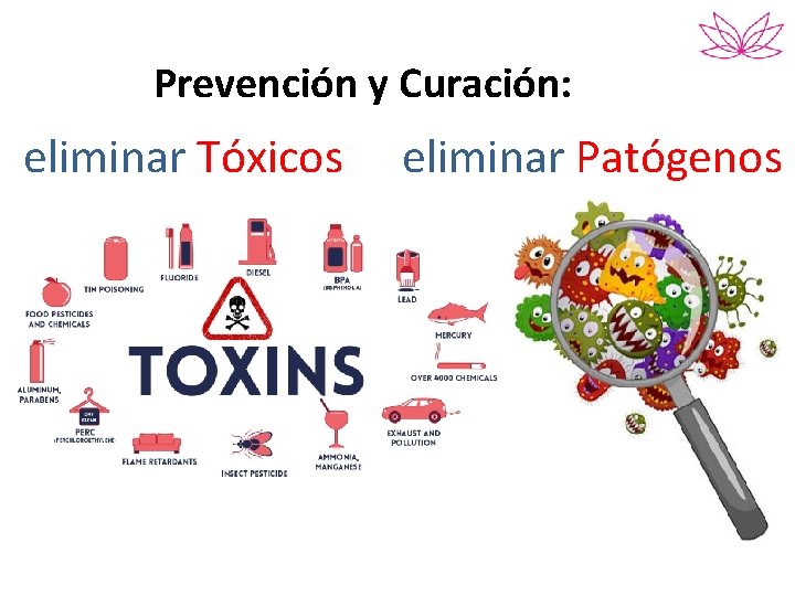 Prevención y Curación: eliminar Tóxicos eliminar Patógenos 