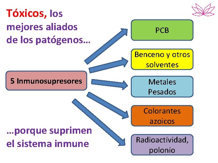 Tóxicos, los mejores aliados de los patógenos… PCB Benceno y otros solventes 5 Inmunosupresores