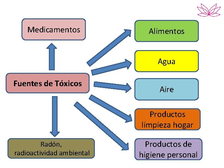 Medicamentos Alimentos Agua Fuentes de Tóxicos Aire Productos limpieza hogar Radón, radioactividad ambiental Productos