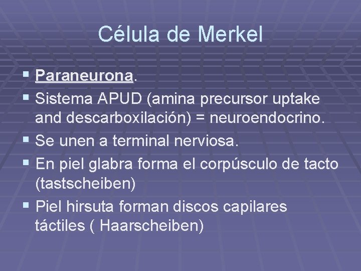 Célula de Merkel § Paraneurona. § Sistema APUD (amina precursor uptake and descarboxilación) =