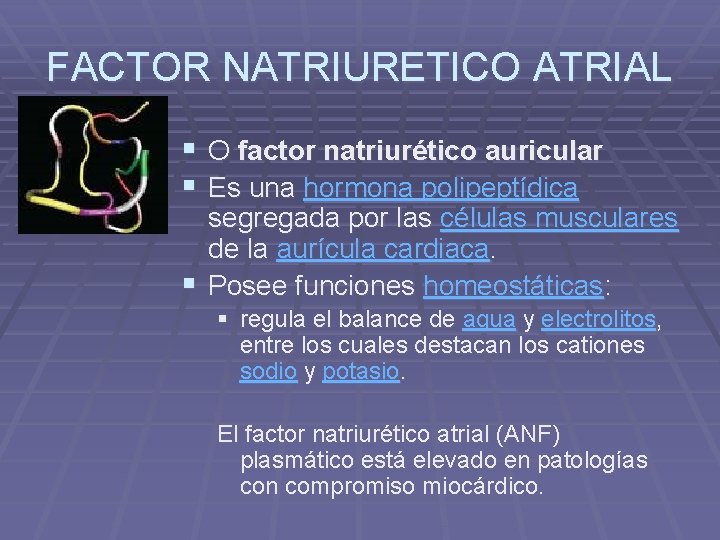 FACTOR NATRIURETICO ATRIAL § O factor natriurético auricular § Es una hormona polipeptídica segregada