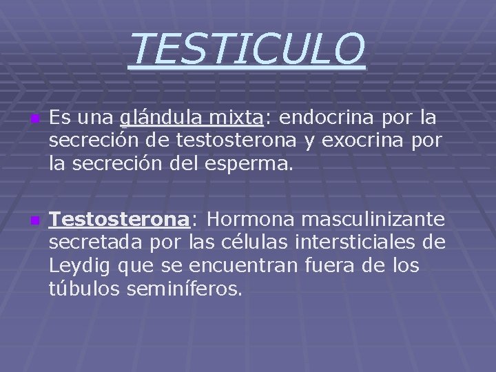 TESTICULO n Es una glándula mixta: mixta endocrina por la secreción de testosterona y