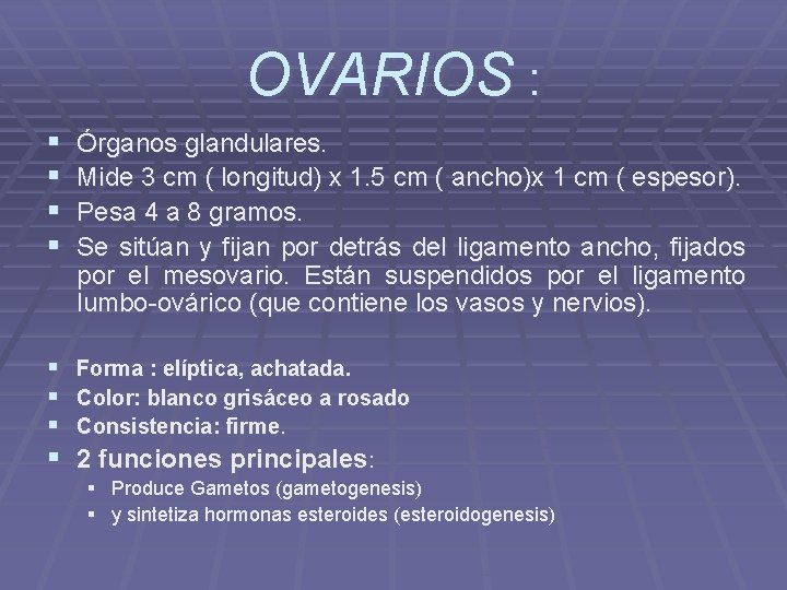 OVARIOS : § § Órganos glandulares. Mide 3 cm ( longitud) x 1. 5