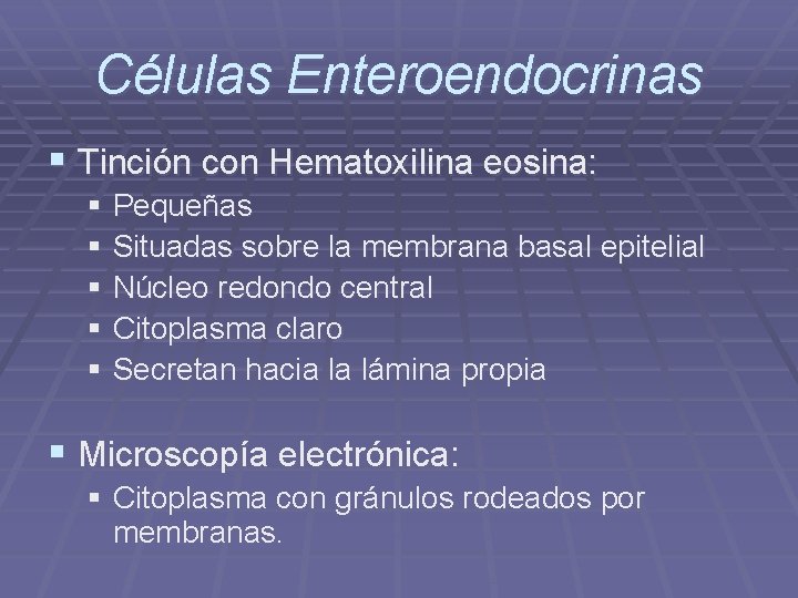 Células Enteroendocrinas § Tinción con Hematoxilina eosina: § Pequeñas § Situadas sobre la membrana