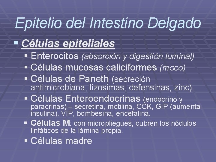 Epitelio del Intestino Delgado § Células epiteliales § Enterocitos (absorción y digestión luminal) §