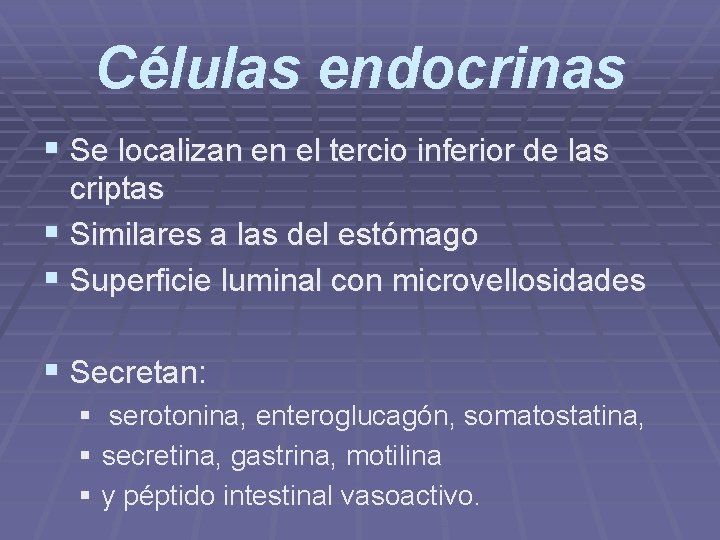Células endocrinas § Se localizan en el tercio inferior de las criptas § Similares