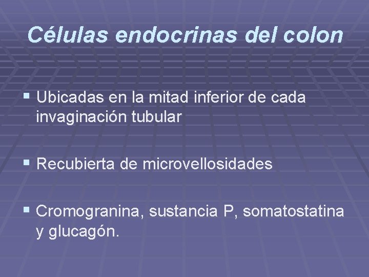 Células endocrinas del colon § Ubicadas en la mitad inferior de cada invaginación tubular