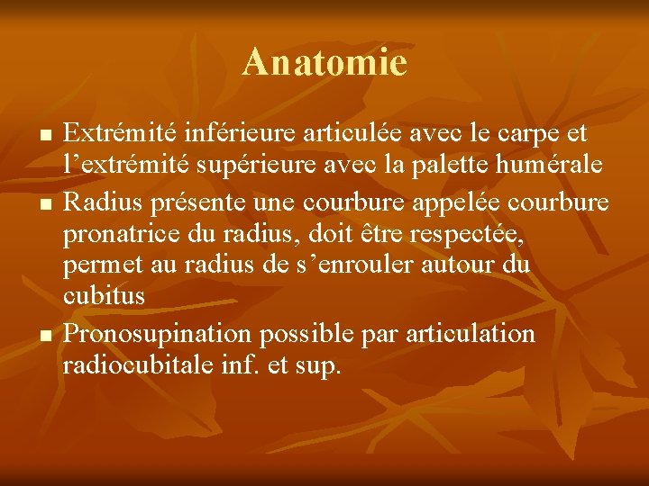 Anatomie n n n Extrémité inférieure articulée avec le carpe et l’extrémité supérieure avec